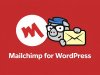 MC4WP - Mailchimp for WordPress Premium