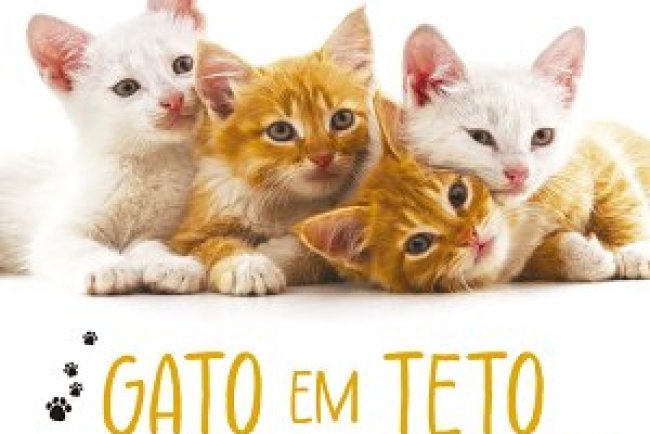 Gato em Teto de Zinco Quente - Melinda Metz