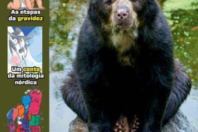 Recreio Ed. 1215 - Fevereiro 2026