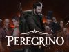 Peregrino