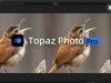 Topaz Photo Pro v1.4.0