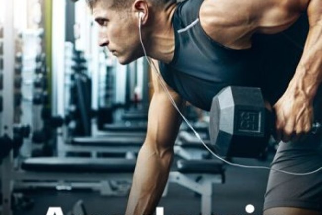 Academia 2026 Atualizada - Treino 2026