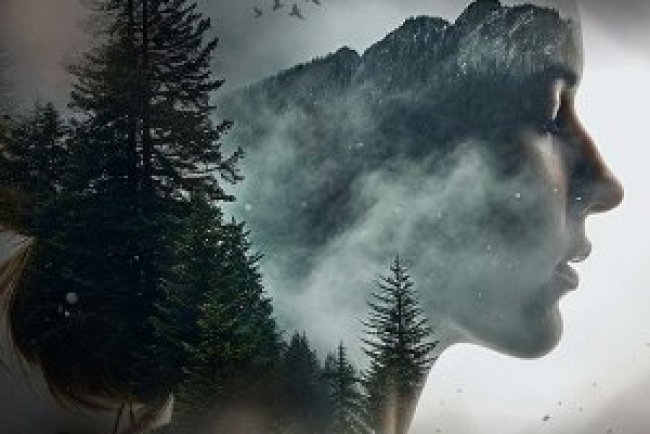 A Caçada - Nichole Greene