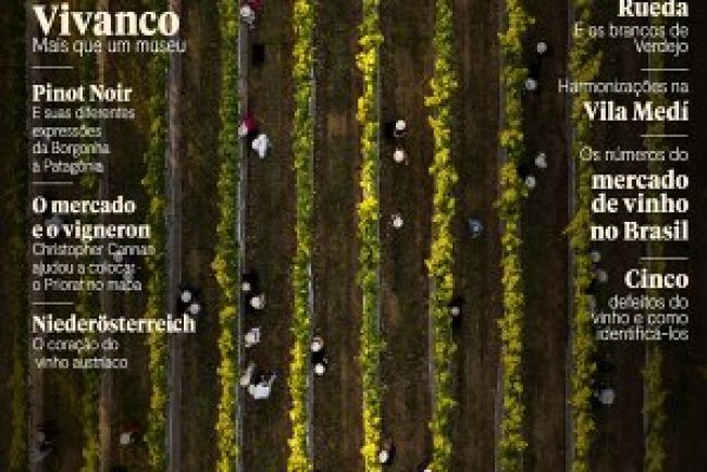 Adega Ed 245 - Março 2026