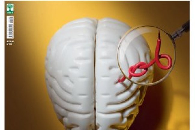 Veja Saúde Ed 525 - Março 2025