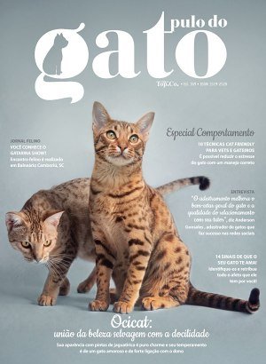 Pulo do Gato - Mar/Abr/Mai 2026