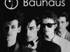 Bauhaus - The Best Of (2019) MP3 Completo