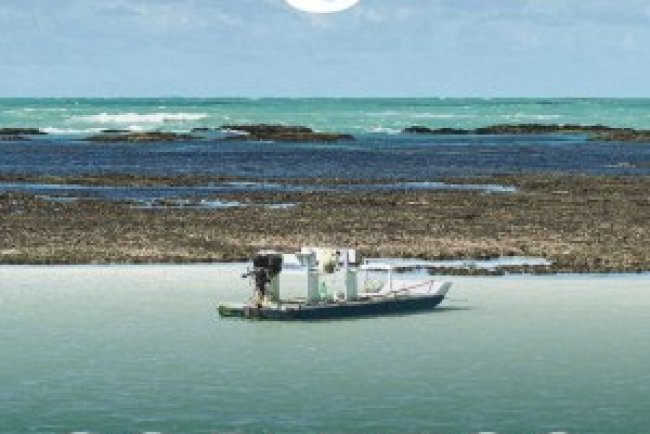 Viagem e Turismo - Março 2026