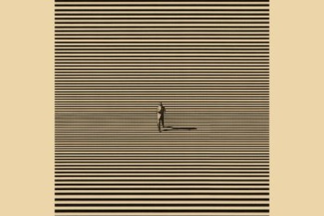 Eagle Eyed Tiger - Feathers  (2022)