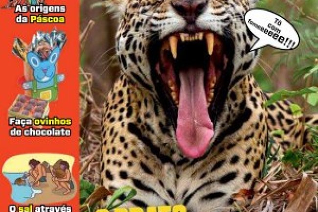 Recreio Ed. 1221 - Março 2026