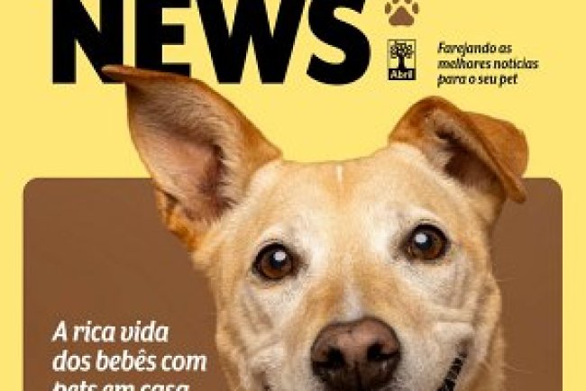 Focinho News Ed 01 - Abril 2026