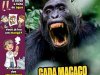 Recreio Edição 1225 (Maio 2026) PDF