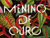 Menino de Ouro - Claire Adam