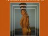 Os Melhores Temas Nacionais das Novelas Vol. 1 (1980)