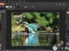 Affinity by Canva 3.2.1.4425 + Portable