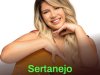 Sertanejo de Boa 2026 MP3