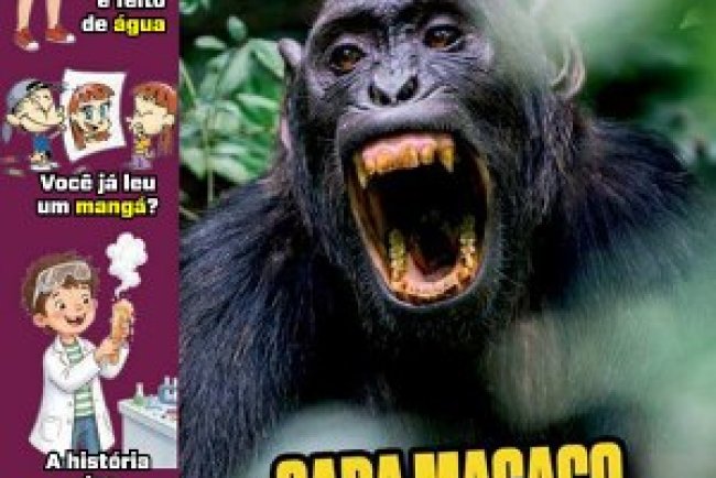 Recreio Edição 1225 (Maio 2026) PDF