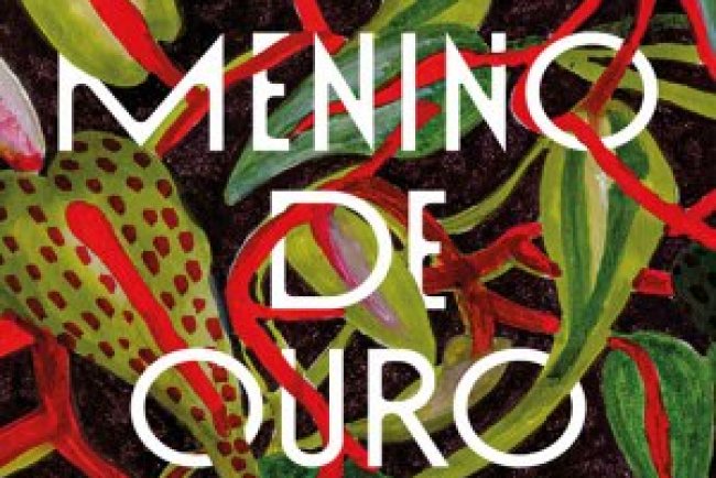 Menino de Ouro - Claire Adam