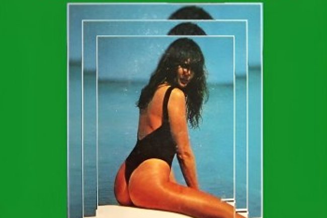 Os Melhores Temas Nacionais das Novelas Vol. 2 (1980)