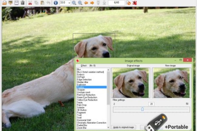 IrfanView 4.75 Commercial + Portable