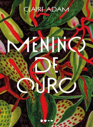 Menino de Ouro - Claire Adam