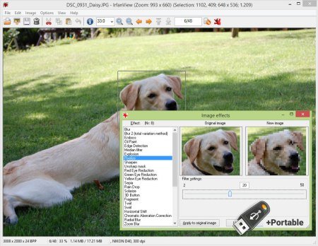 IrfanView 4.75 Commercial + Portable