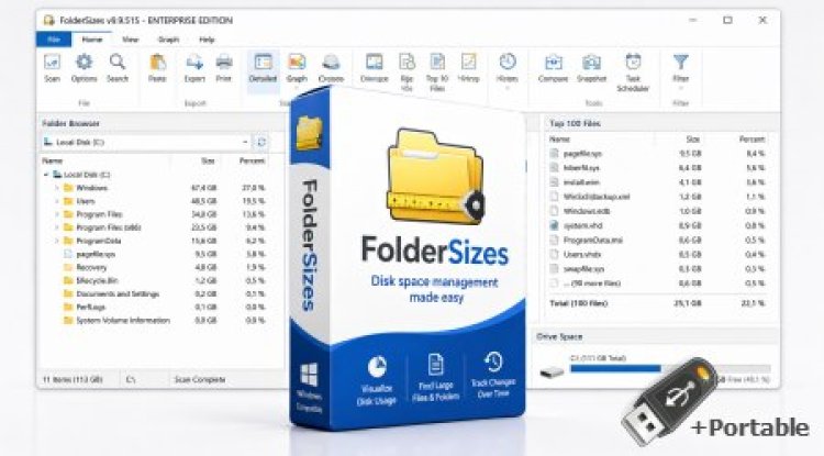 FolderSizes 10.1.56 + Portable
