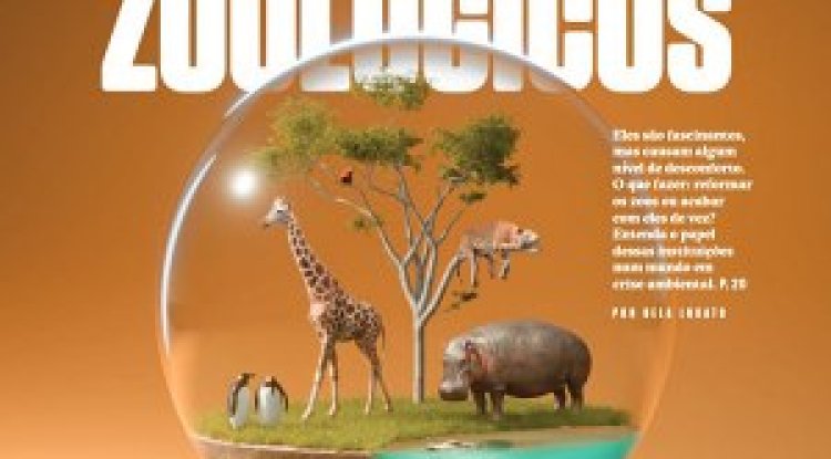 Superinteressante Edição 488 - Junho 2026 (PDF)