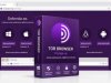 Tor Browser 15.0.17