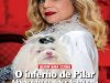Contigo Edição 371 - Julho 2026 PDF