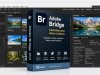 Adobe Bridge 2026 16.0.4 Multilingual