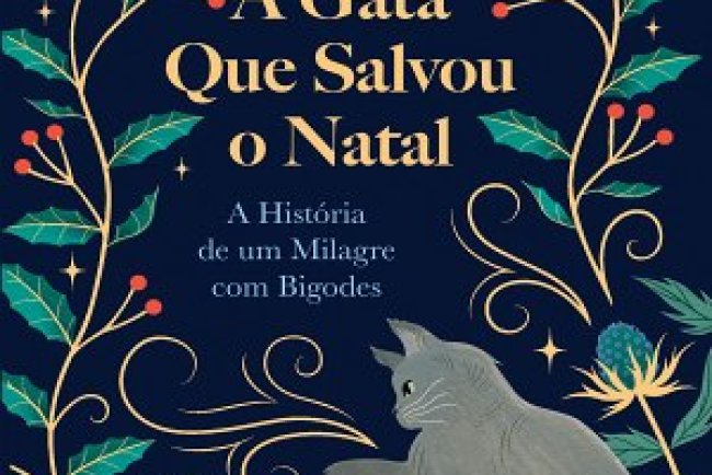A Gata Que Salvou o Natal - Lili Hayward
