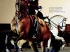 Horse - Fevereiro 2026 (PDF)