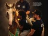 Horse - Julho 2026 (PDF)