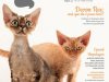Pulo do Gato - Junho/Julho 2026 (PDF)