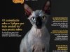 Pulo do Gato - Agosto/Setembro 2026 (PDF)