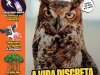 Recreio Edição 1242 - Agosto 2026 PDF