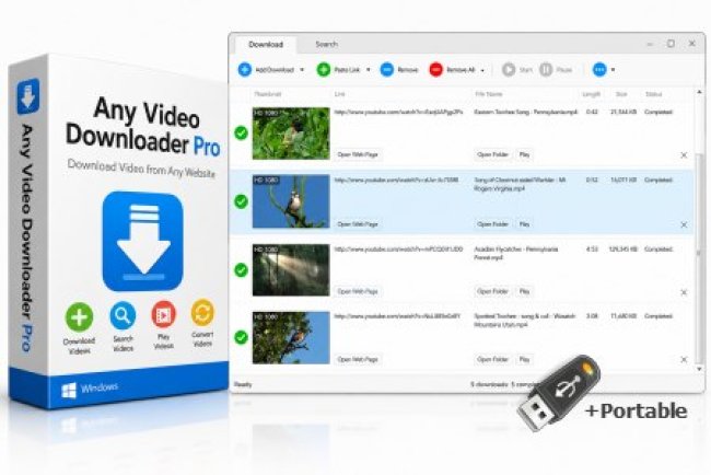 Any Video Downloader Pro 10.4.9 + Portable
