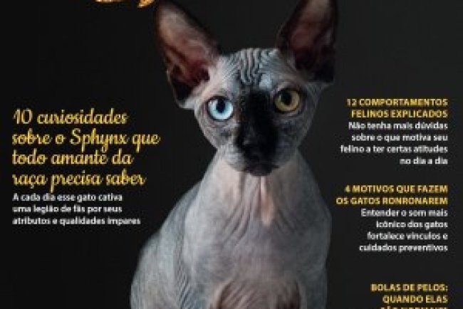 Pulo do Gato - Agosto/Setembro 2026 (PDF)