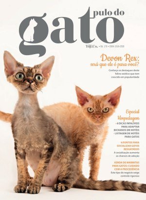 Pulo do Gato - Junho/Julho 2026 (PDF)