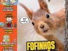 Recreio Edição 1246 - Setembro 2026 PDF