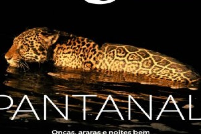 Viagem e Turismo - Agosto 2026 PDF
