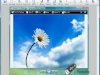 FastStone Capture v11.1 + Portable