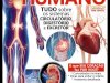 Conhecer Fantástico - Corpo Humano - Abril 2020