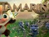 Tamarin [PT-BR]