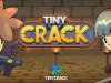 TinyCrack
