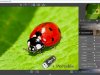 InPixio Photo Maximizer Pro 5.12.7697.28557 + Portable