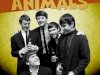 The Animals - The Radio Sessions 1965 - 1966 (2020)
