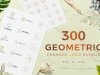 300 Geometric Premade Logo Bundle
