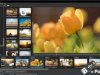 PTE AV Studio Pro v11.0.18.3 + Portable
